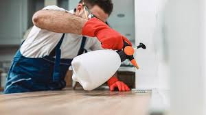 Real Estate Pest Inspections in Alice, TX